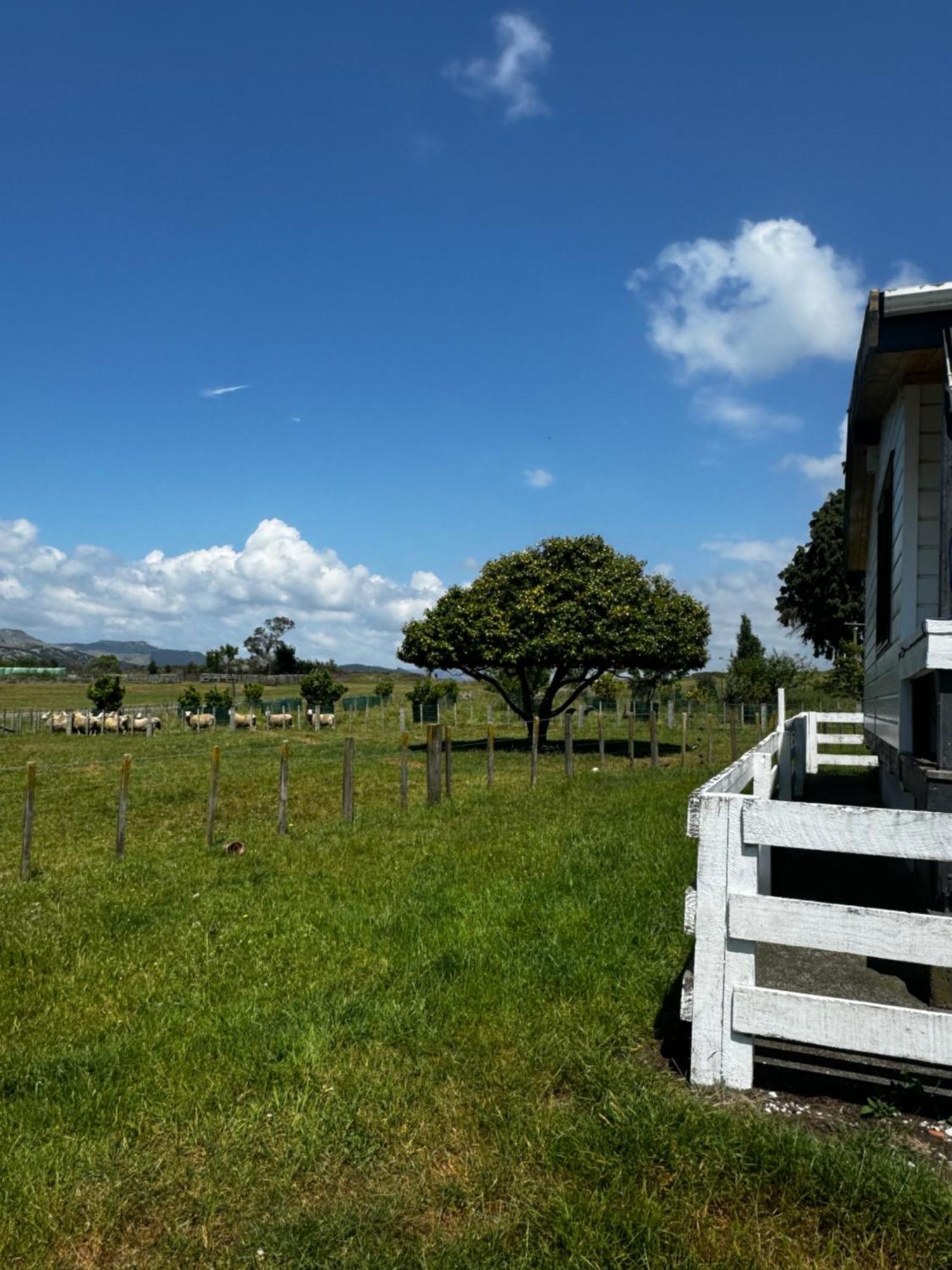 Putorino Lockwood Country House Retreat المظهر الخارجي الصورة
